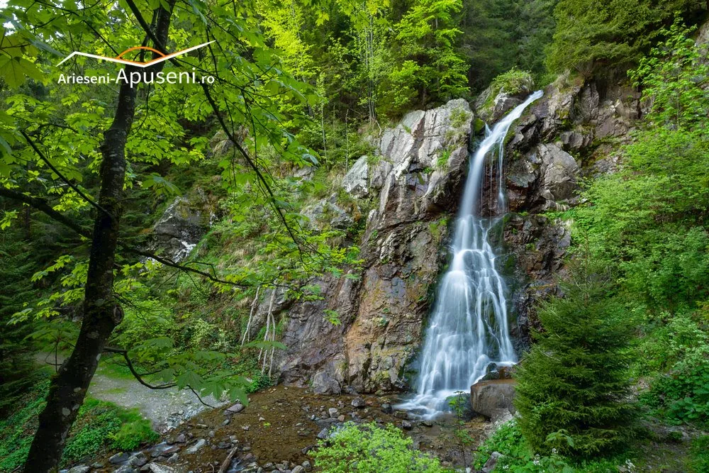 Cascada Vârciorog