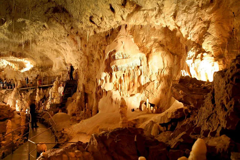 Peștera Urșilor — schelete de urs de cavernă
