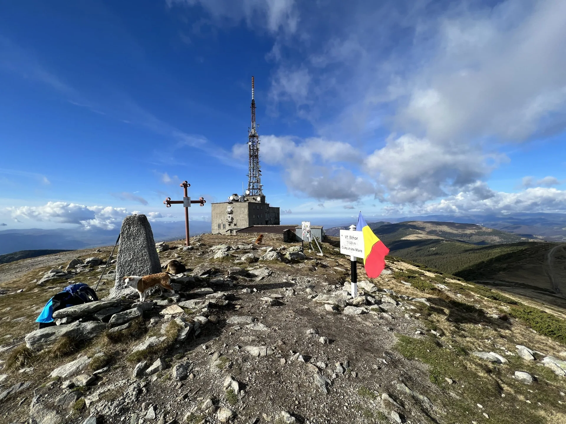 Traseu Vârful Bihor — pajiști alpine deasupra Arieșeniului