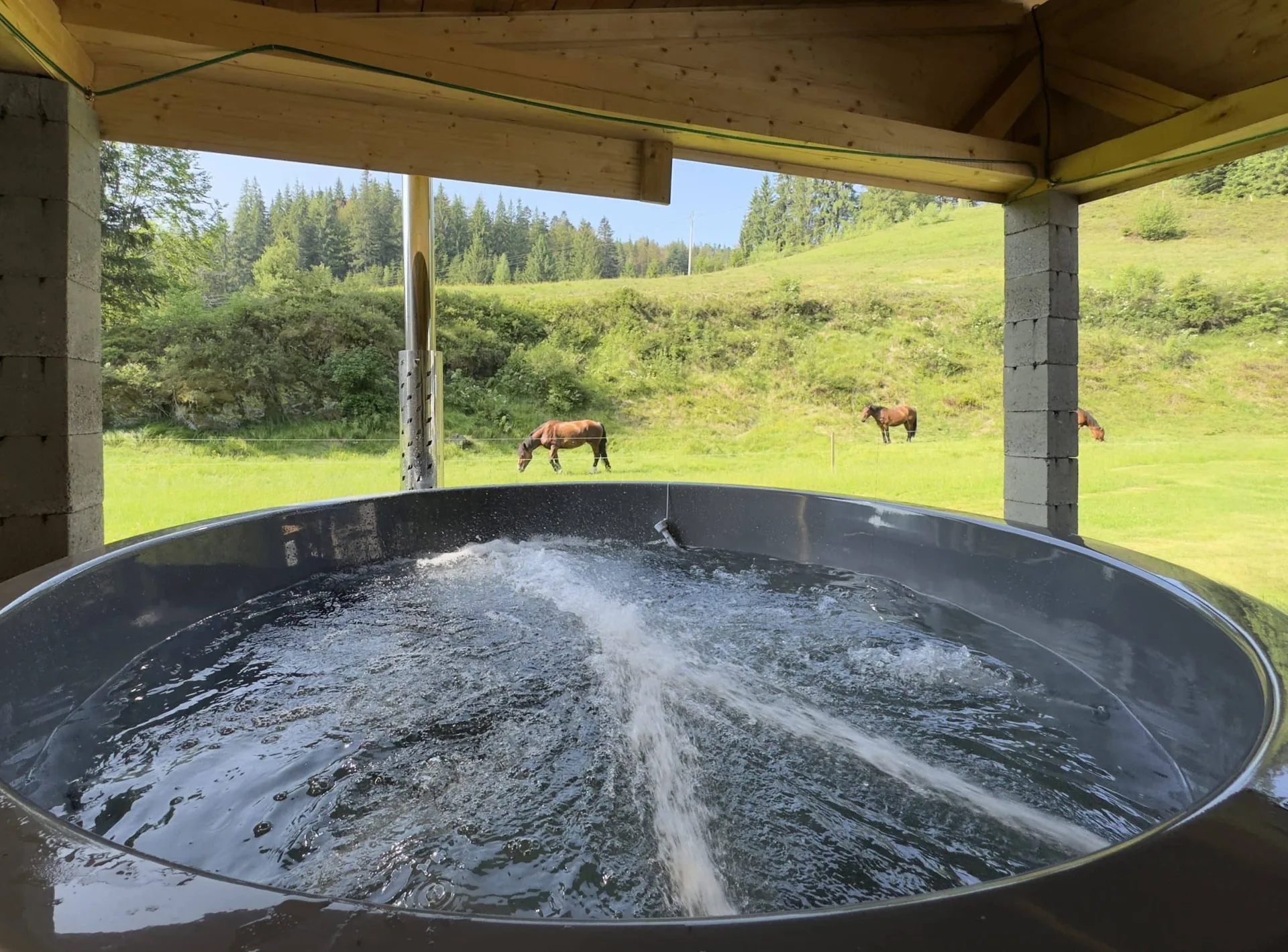 Relaxare în ciubăr cu jacuzzi, în inima Apusenilor